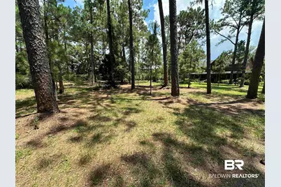 8100 S Highway 59, Foley, AL 36535 - Photo 3