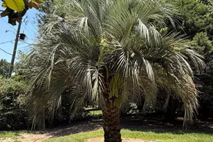 121 Windsor Dr, Daphne, AL 36526 - Photo 7
