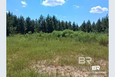 0000 Linholm Road, Robertsdale, AL 36567 - Photo 1