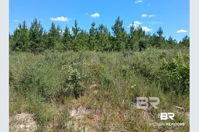 0000 Linholm Road, Robertsdale, AL 36567 - Photo 11