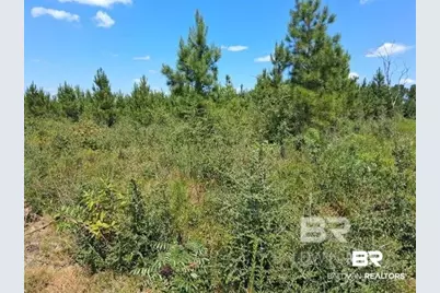 0000 Linholm Road, Robertsdale, AL 36567 - Photo 15