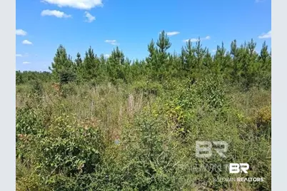 0000 Linholm Road, Robertsdale, AL 36567 - Photo 13