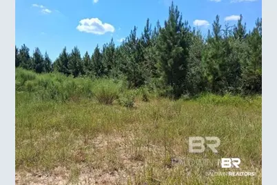 0000 Linholm Road, Robertsdale, AL 36567 - Photo 3