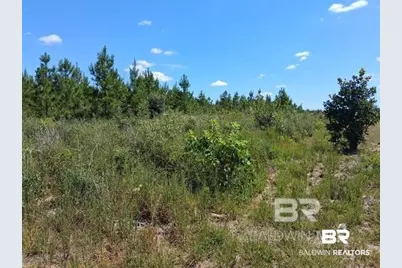 0000 Linholm Road, Robertsdale, AL 36567 - Photo 9