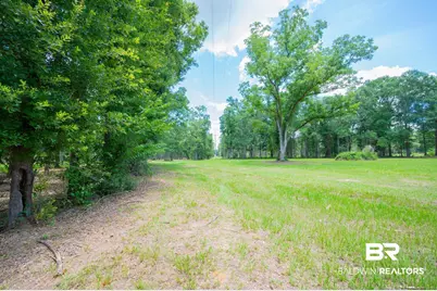 0 Hurricane Road, Bay Minette, AL 36507 - Photo 9