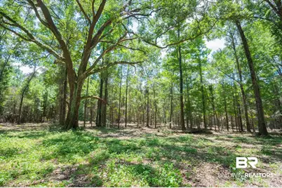 0 County Road 86, Bay Minette, AL 36507 - Photo 3
