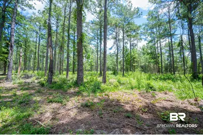0 County Road 86, Bay Minette, AL 36507 - Photo 5