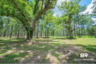 0 County Road 86, Bay Minette, AL 36507 - Photo 3