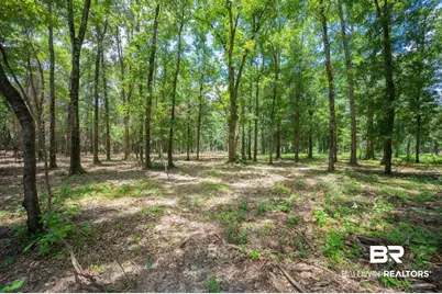 0 County Road 86, Bay Minette, AL 36507 - Photo 5