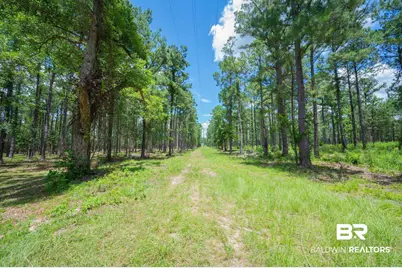 0 County Road 86, Bay Minette, AL 36507 - Photo 1
