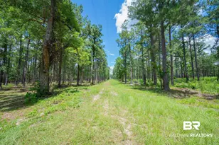 0 County Road 86, Bay Minette, AL 36507 - Photo 1