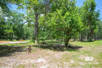 0 County Road 86, Bay Minette, AL 36507 - Photo 9