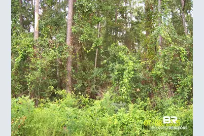 0 Canal Circle, Fairhope, AL 36532 - Photo 5