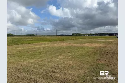 0 County Road 65, Foley, AL 36525 - Photo 1
