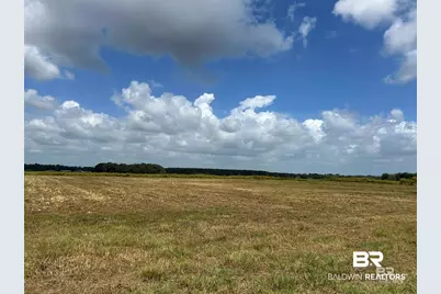 0 County Road 65 Lot #4, Foley, AL 36525 - Photo 5