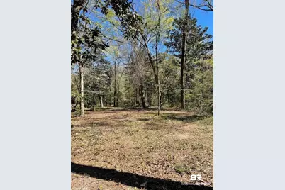 0 Pensacola Avenue, Fairhope, AL 36532 - Photo 3