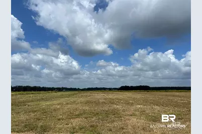 0 County Road 26, Foley, AL 36525 - Photo 5