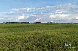 0 County Road 26 Lot, Foley, AL 36525 - Photo 1
