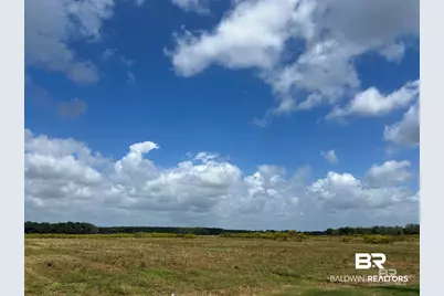 0 County Road 26, Foley, AL 36525 - Photo 3