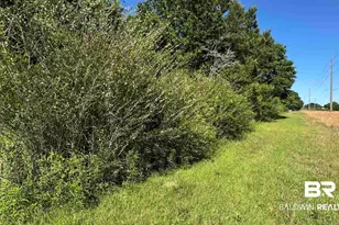 33370 US Hwy 98, Lillian, AL 36549 - Photo 53