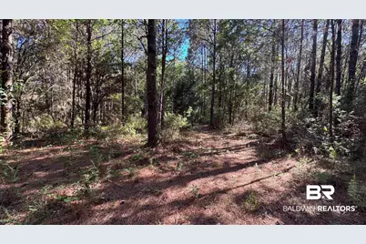 33370 US Highway 98, Lillian, AL 36549 - Photo 51