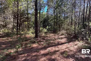 33370 US Hwy 98, Lillian, AL 36549 - Photo 51