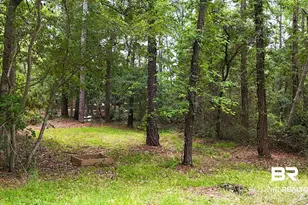 769 Bear Creek Ct, Gulf Shores, AL 36542 - Photo 67