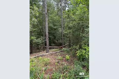 0 Wilkins Creek Court, Spanish Fort, AL 36527 - Photo 3