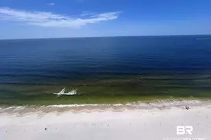 29040 Perdido Beach Blvd, Orange Beach, AL 36561 - Photo 9