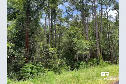 0 Galloway Lane, Gulf Shores, AL 36542 - Photo 1