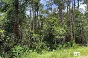 0 Galloway Ln, Gulf Shores, AL 36542 - Photo 1
