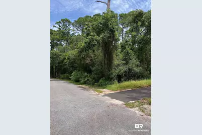 0 Galloway Lane, Gulf Shores, AL 36542 - Photo 5