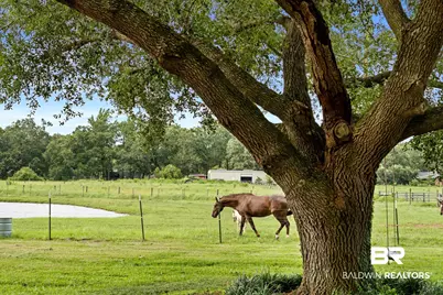 25331 Austin Road, Daphne, AL 36526 - Photo 51