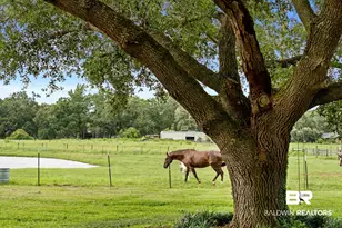 25331 Austin Rd, Daphne, AL 36526 - Photo 51
