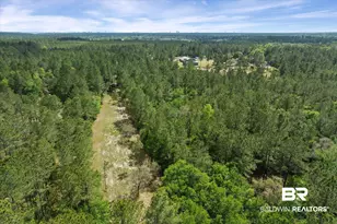 29476 C P Adams Ln, Elberta, AL 36530 - Photo 23
