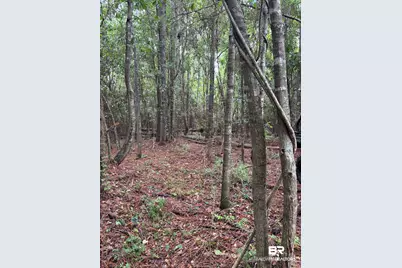 Lot 1 County Road 48, Robertsdale, AL 36567 - Photo 5
