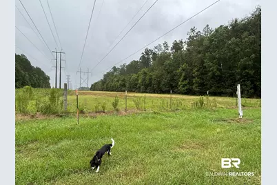 Lot 1 County Road 48, Robertsdale, AL 36567 - Photo 1