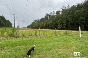 Lot 1 County Road 48, Robertsdale, AL 36567 - Photo 1