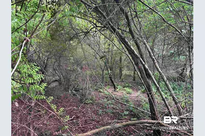 Lot 1 County Road 48, Robertsdale, AL 36567 - Photo 7