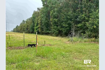 Lot 1 County Road 48, Robertsdale, AL 36567 - Photo 3