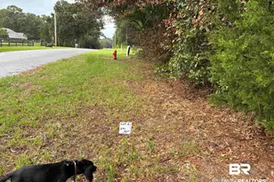 Lot 2 County Road 48, Robertsdale, AL 36567 - Photo 1