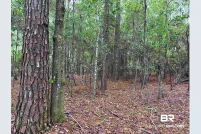 Lot 5 County Road 48, Robertsdale, AL 36567 - Photo 1