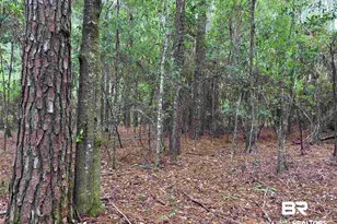 Lot 5 County Road 48, Robertsdale, AL 36567 - Photo 1