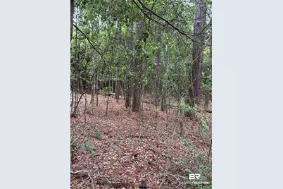 Lot 5 County Road 48, Robertsdale, AL 36567 - Photo 3