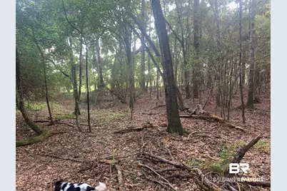 Lot 6 County Road 48, Robertsdale, AL 36567 - Photo 7