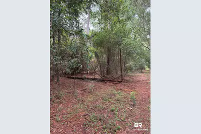 Lot 6 County Road 48, Robertsdale, AL 36567 - Photo 5