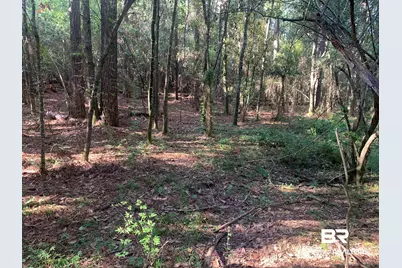 Lot 6 County Road 48, Robertsdale, AL 36567 - Photo 11
