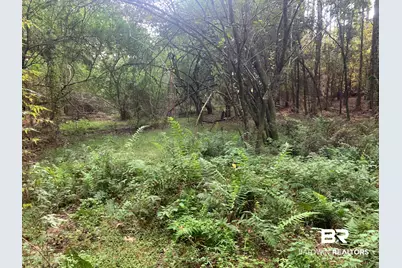 Lot 6 County Road 48, Robertsdale, AL 36567 - Photo 9