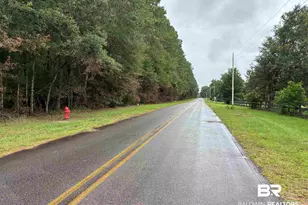 Lot 7 County Road 48, Robertsdale, AL 36567 - Photo 1