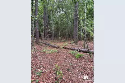 Lot 7 County Road 48, Robertsdale, AL 36567 - Photo 3